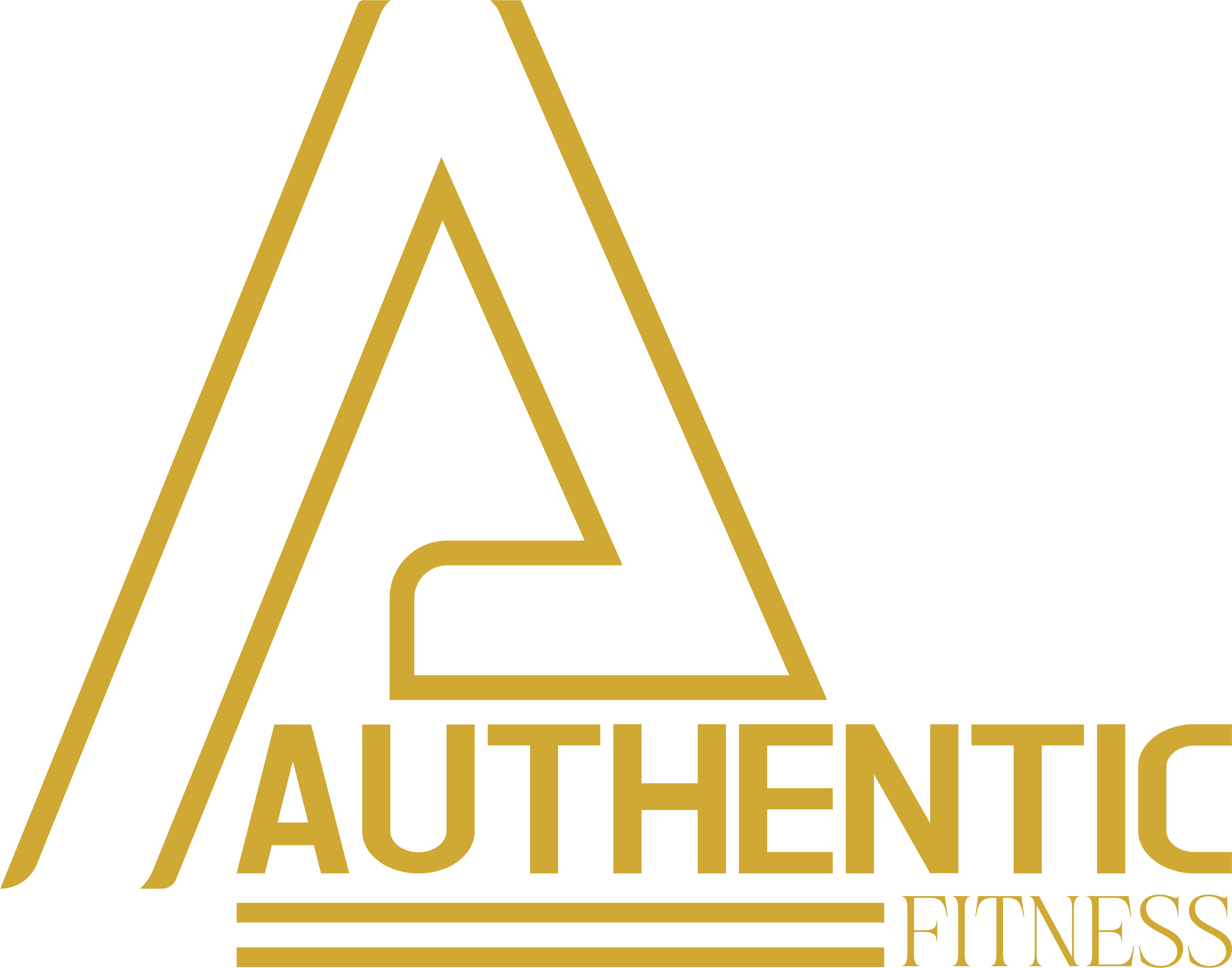 Authentic Fitness Logo